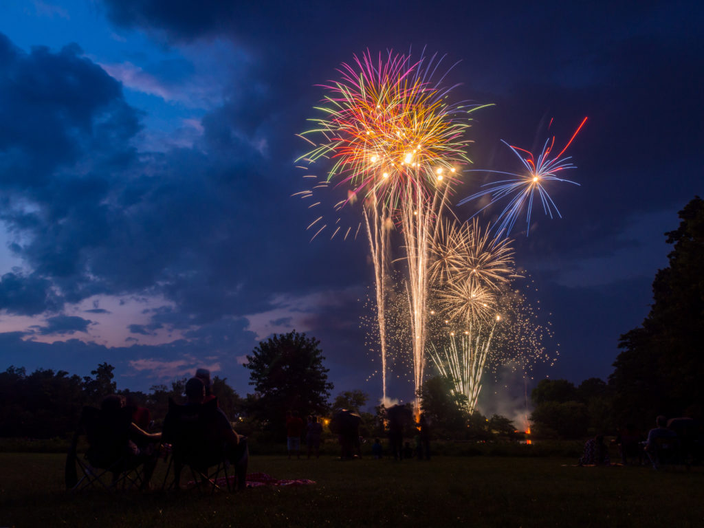 A fourth of July firework display above a forest park, people seated on the lawn watching.