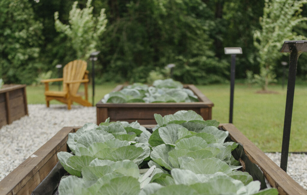 Hope Grows Garden at Palmer Home for Children