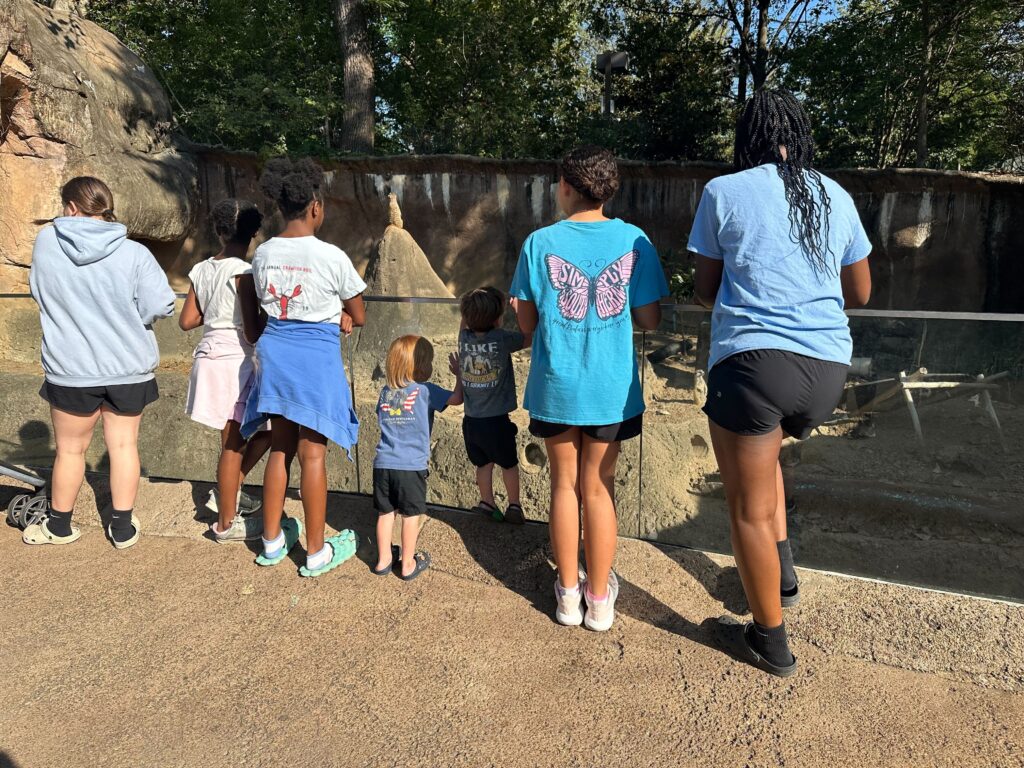 group of children watching animals at the zoo